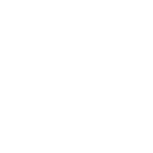 Fossil